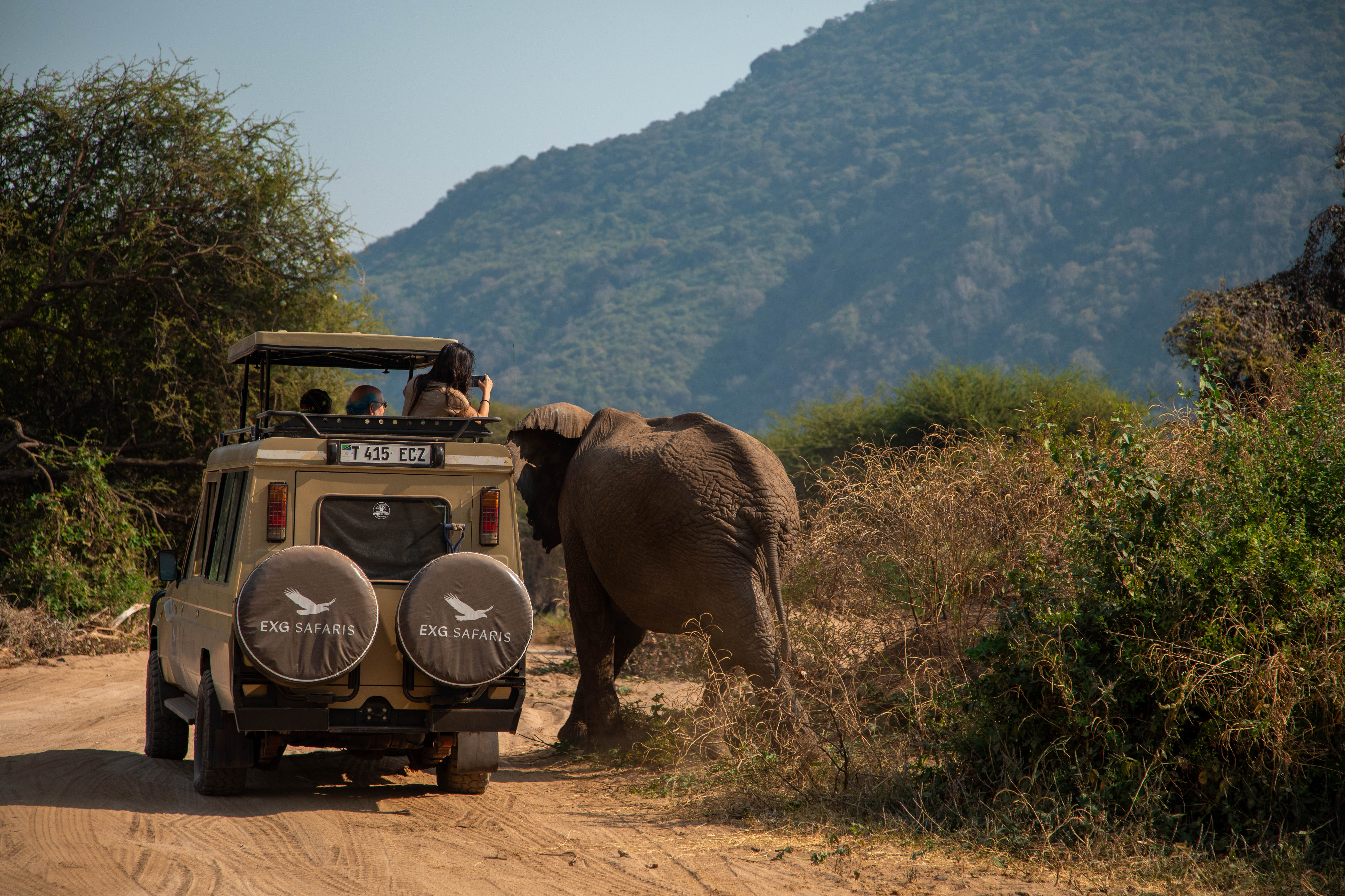 EXG Safaris Land Cruiser in the bush
