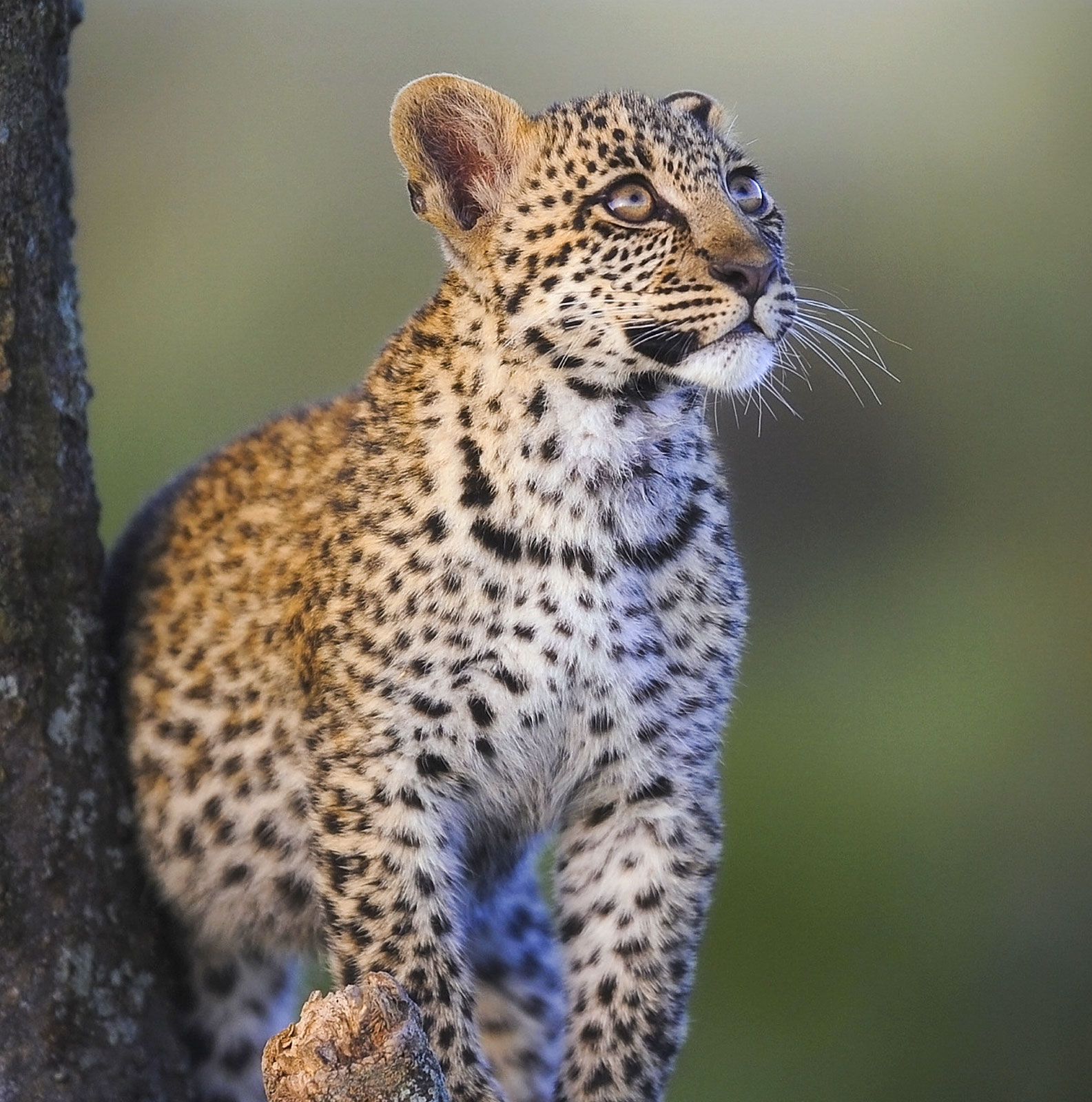 Meal after horseriding